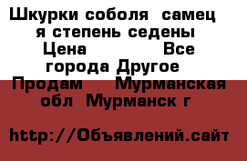 Шкурки соболя (самец) 1-я степень седены › Цена ­ 12 000 - Все города Другое » Продам   . Мурманская обл.,Мурманск г.